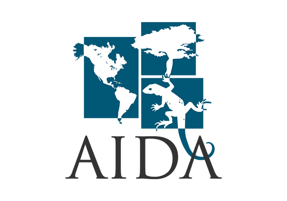 AIDA